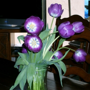 Бродячие  тюльпаны  