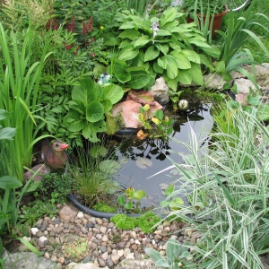 Мини-водоем в саду