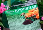 Кровяная мука - азотное удобрение для подкормки роз, хвойников, азалий весной и летом