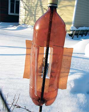 Без-имени-1.jpg Без-имени-1.jpg