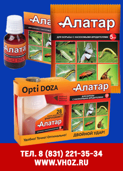 Алатар.gif Алатар.gif