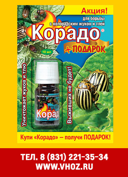 корадо.jpg корадо.jpg