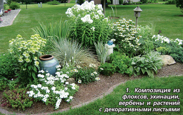 Белые цветы – фото и названия. Выбираем растения с белыми цветами для са да
