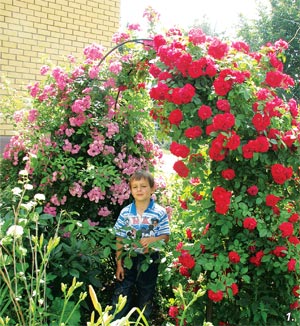 Садовые арки для роз