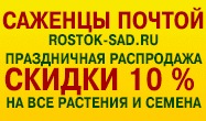 rostok.gif rostok.gif