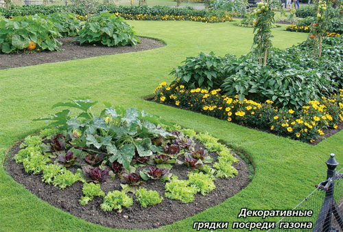 Как красиво обустроить сад или огород своими руками