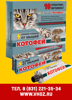 котофей.jpg котофей.jpg