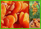 Сушилка для овощей и фруктов Дачник-4