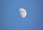 Голубая луна