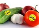 ГМО - польза или вред