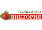 Новые сорта земляники и малины в Н.Новгороде