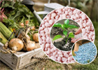 Революция на рынке удобрений: забота о растениях – в каждой грануле