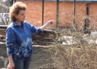 Видео обрезка кустарников весной часть 2