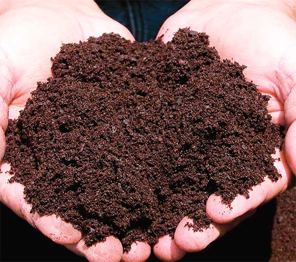 Органическое удобрение для восстановления почвы